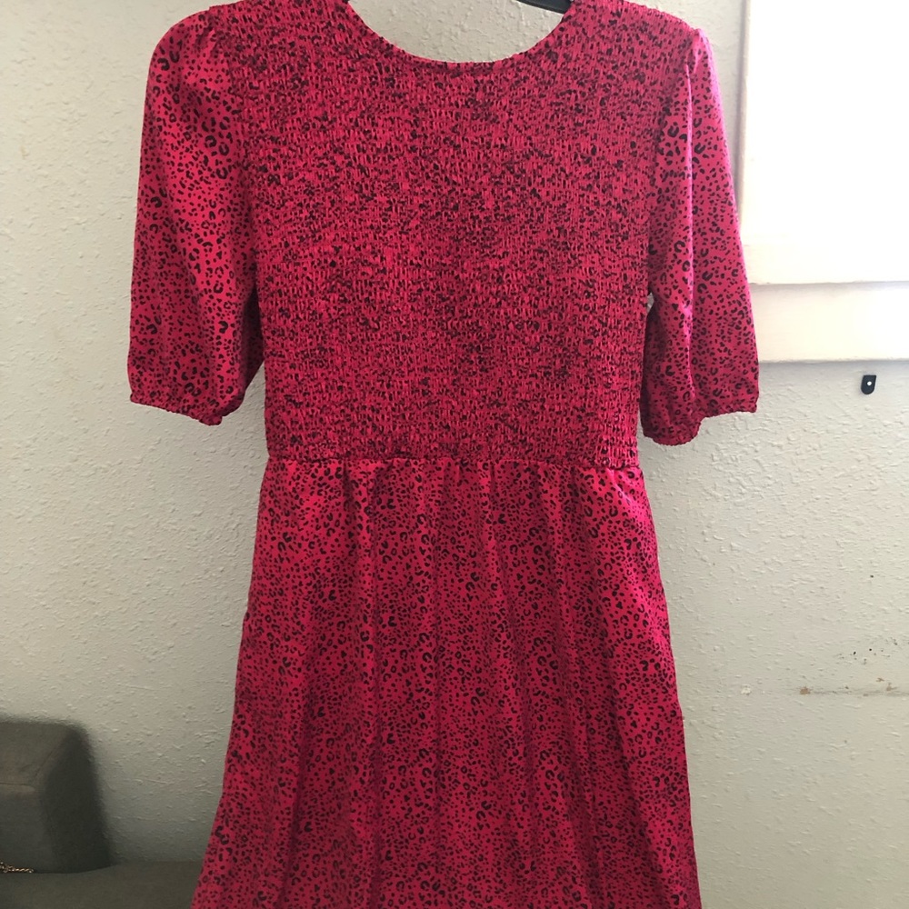 Popsugar cheetah print dress